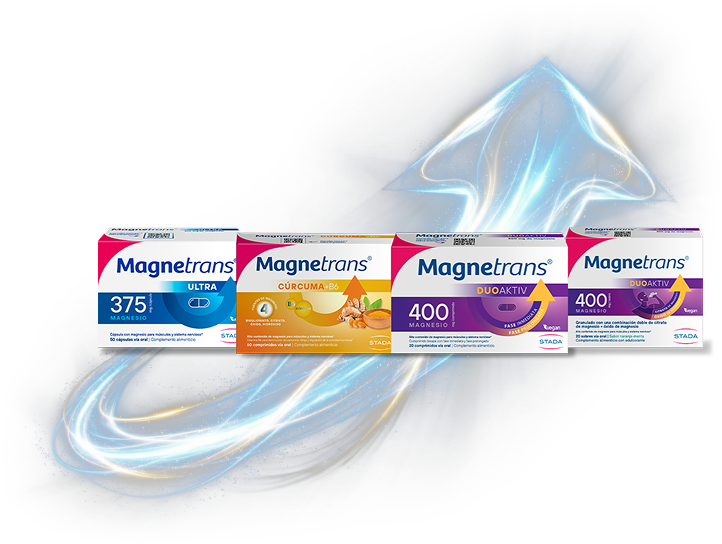 Mix de productos Magnetrans